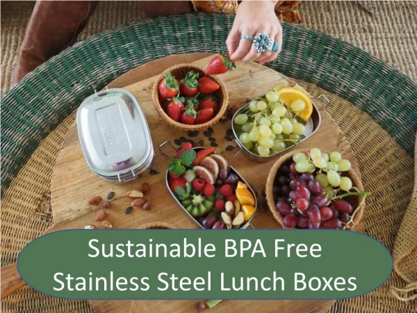 Sustainable BPA Free Stainless Steel Lunch Boxes