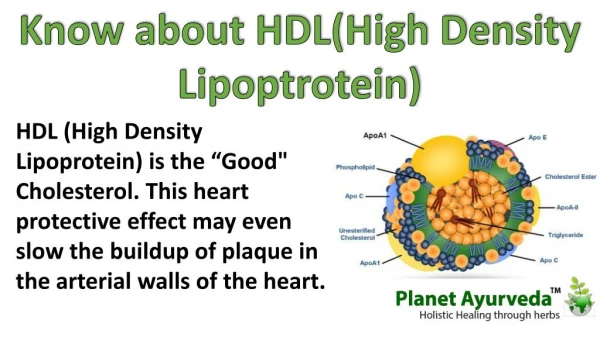 Diet to Improve HDL Cholesterol Naturally | Herbs to Increase HDL