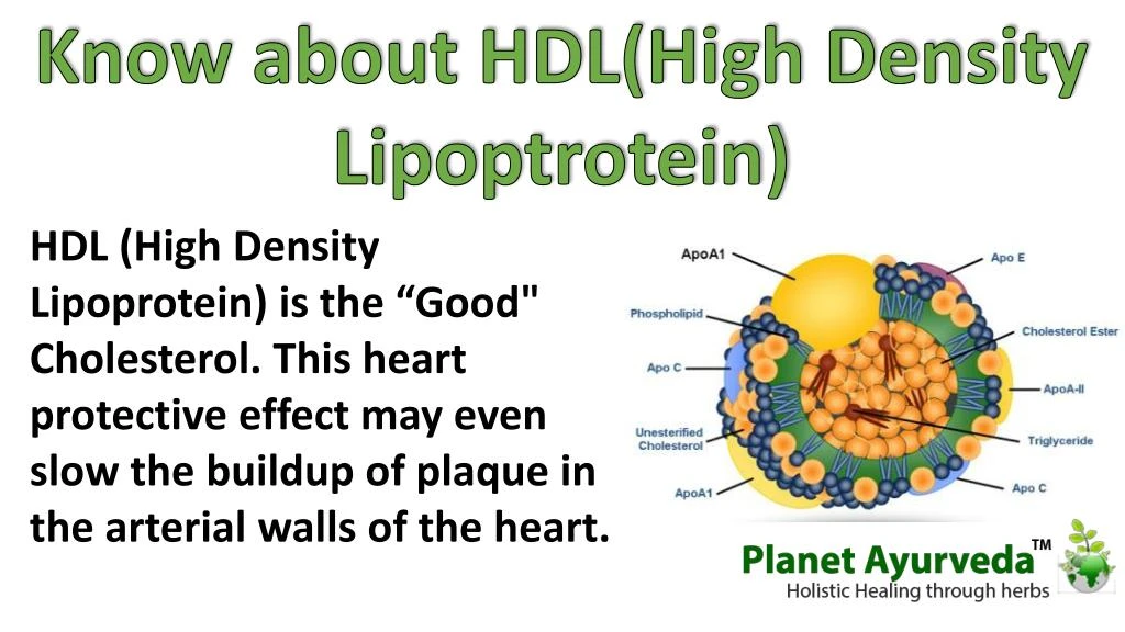 know about hdl high density lipoptrotein