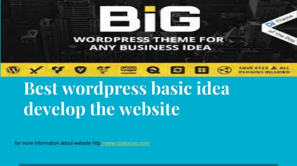 best wordpress basic idea develop the website