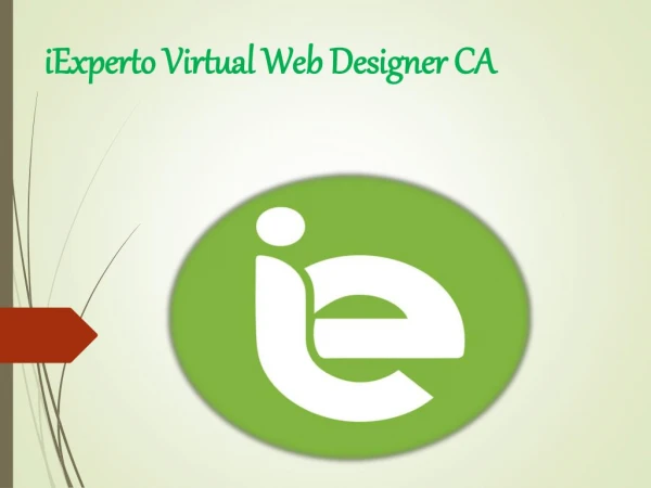 iExperto Virtual Web Designer CA