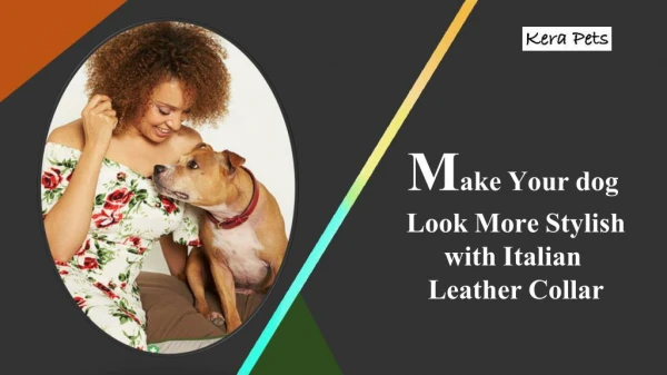 Make Your dog Look More Stylish with Italian Leather Collar