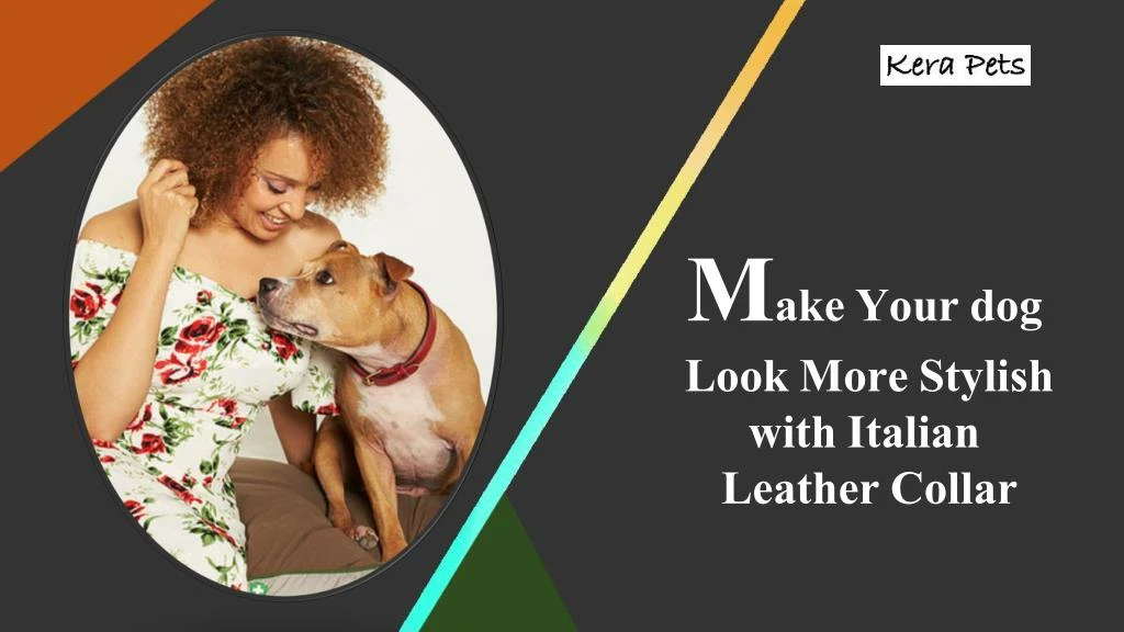 m ake your dog look more stylish with italian