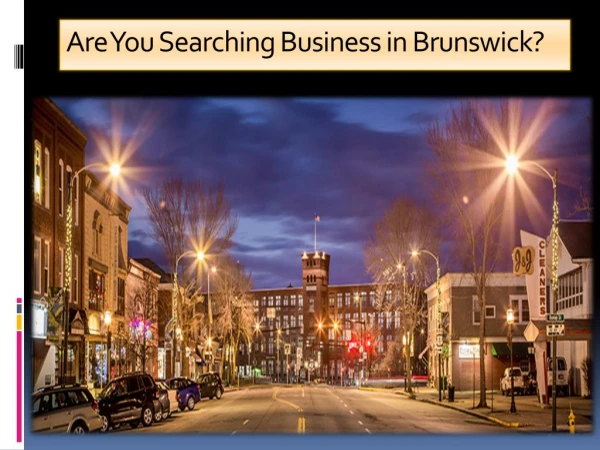 How Can i Buy Existing Business in Brunswick
