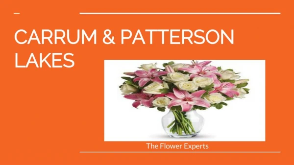 Australia's No.1 Florist Shop For Occasional Flowers