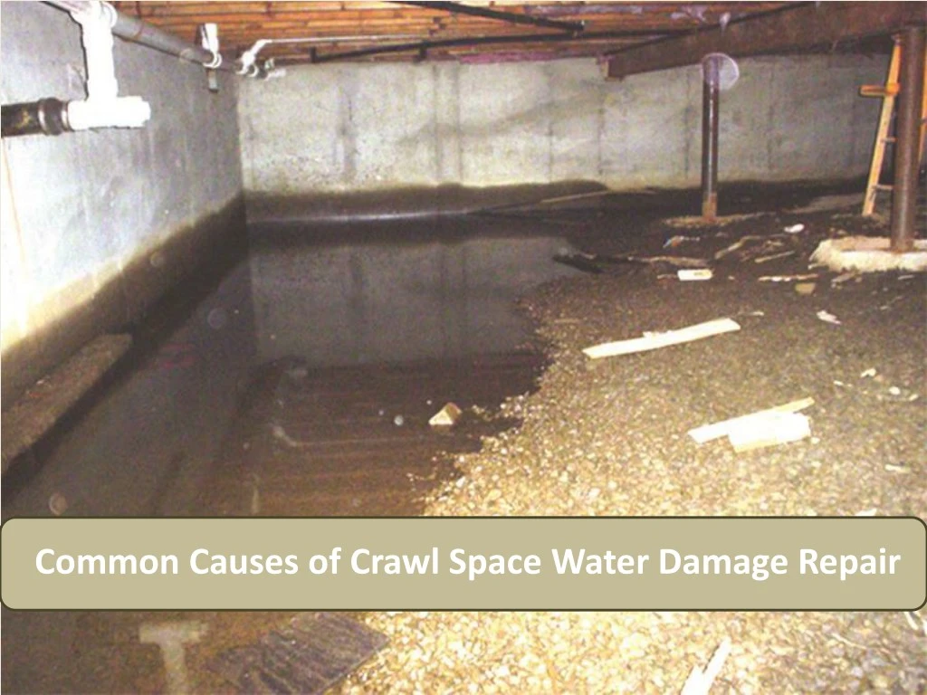 common causes of crawl space water damage repair