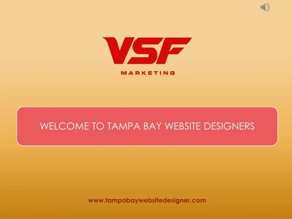 Tampa Based Websites Designer - Tampa Bay Website Designer