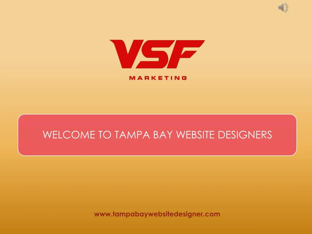 www tampabaywebsitedesigner com