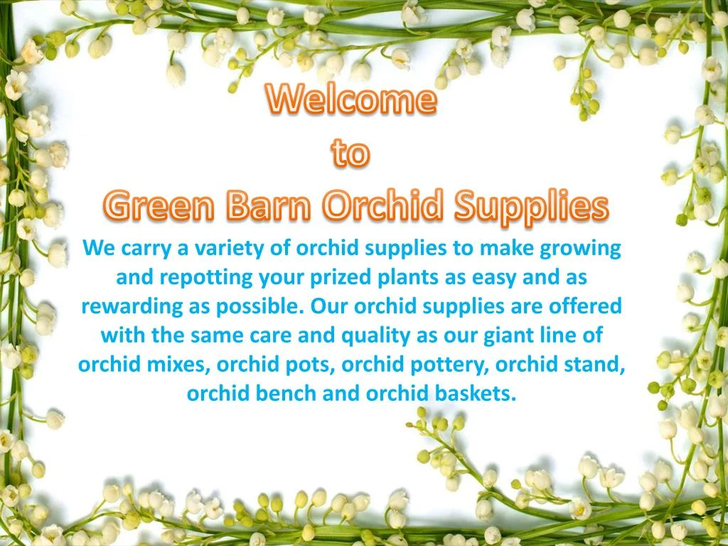 welcome to green barn orchid supplies