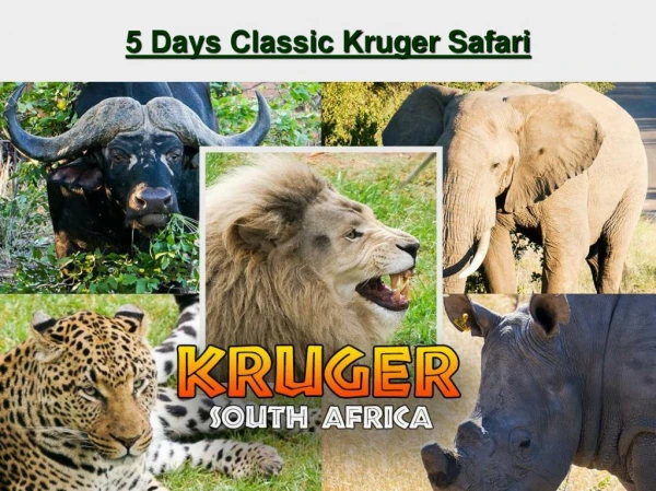 5 Days Classic Kruger Safari