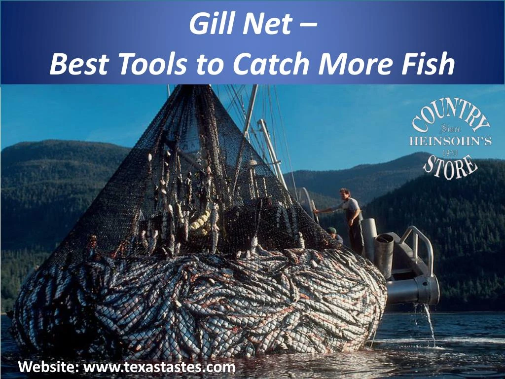 gill net best tools to catch more fish