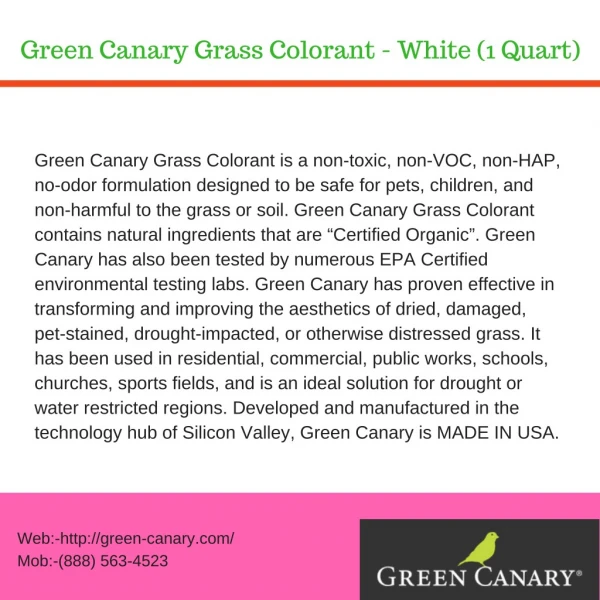 Green Canary Grass Colorant - White (1 Quart)
