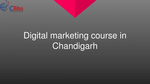 digital marketing course in chandigarh