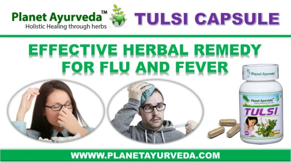 Tulsi for Flu, Allergy, Sinusitis, Infections & Fever - Tulsi Capsules