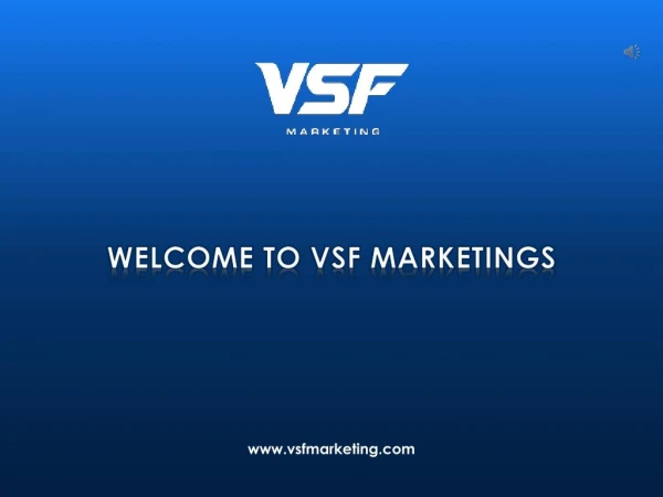 Tampa Based SEO Organization - VSF Marketing