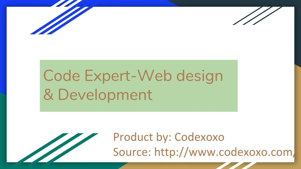 code expert web design development