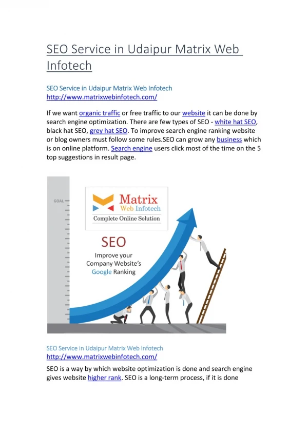 SEO Service in Udaipur Matrix Web Infotech