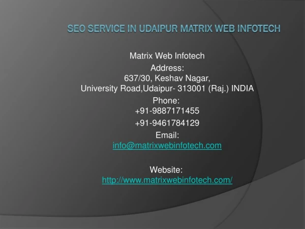 SEO Service in Udaipur Matrix Web Infotech