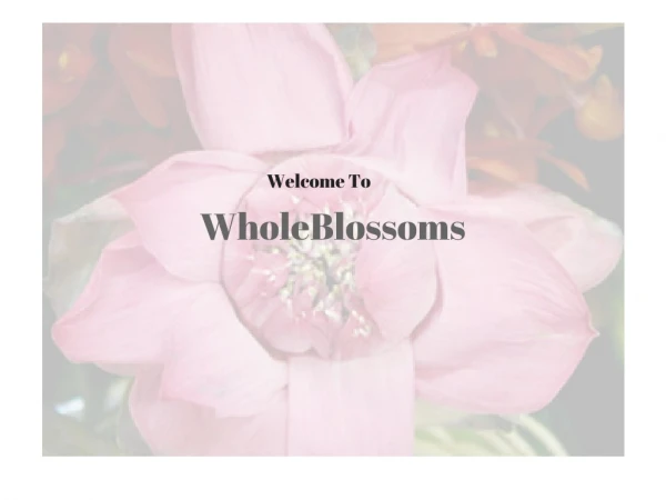 Immerse in WholeBlossomsâ€™ velvety textured flowers