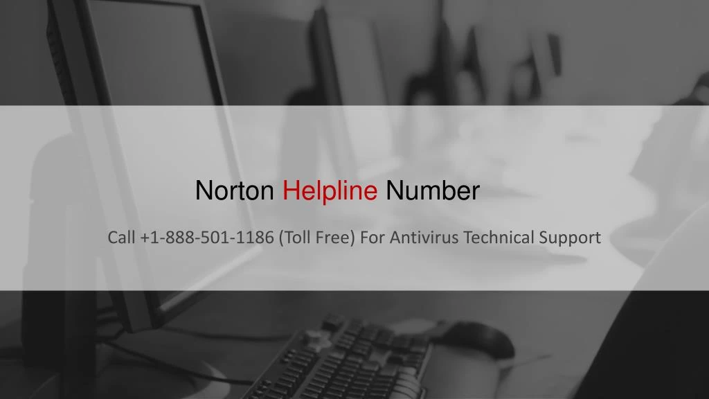 norton helpline number