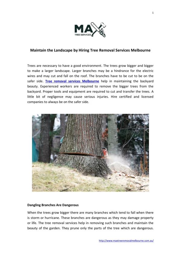Tree Removal Services Melbourne | Max Tree Services