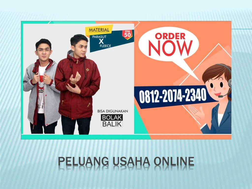 peluang usaha online