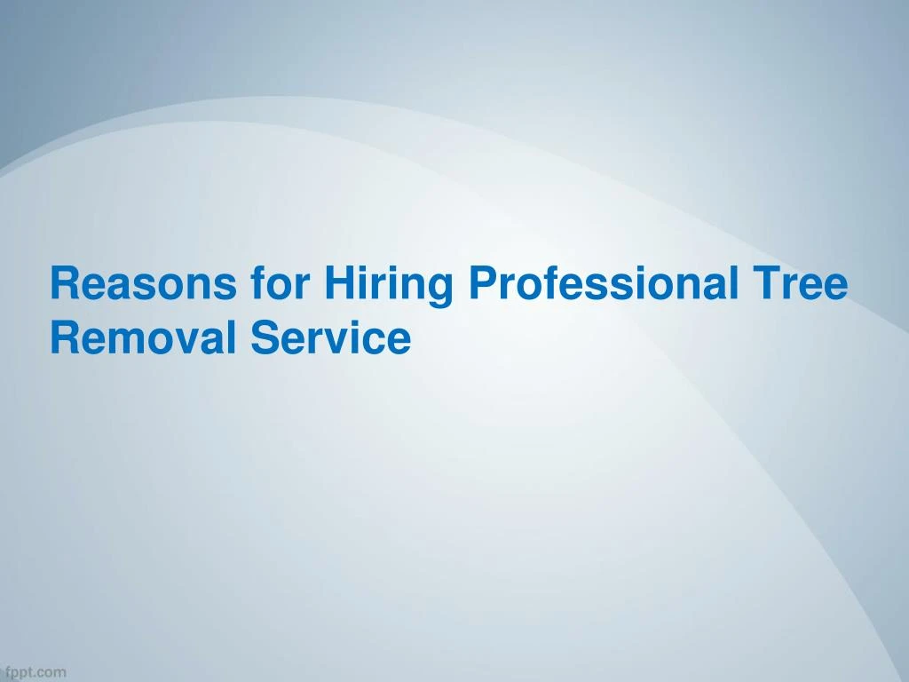reasons for hiring professional tree removal service