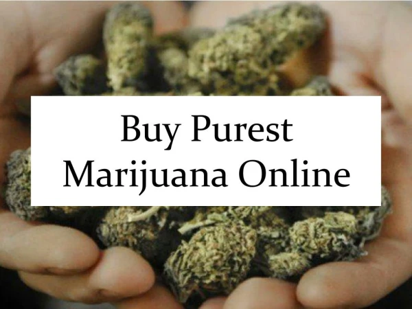 Buy Purest Marijuana Online