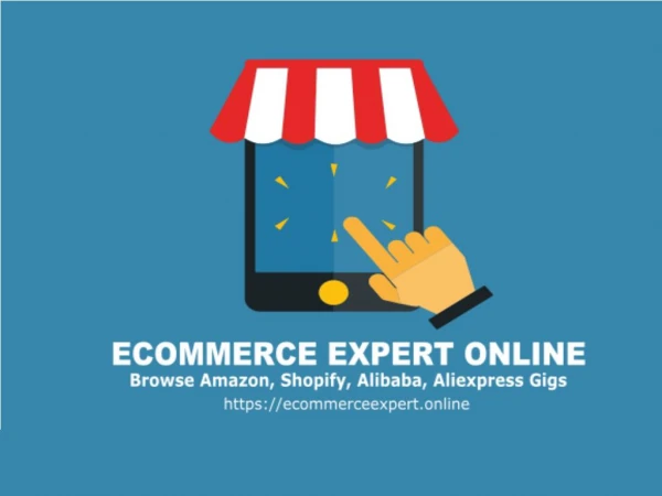 Ecommerce Expert Online - Browse Amazon, Shopify , Alibaba gigs
