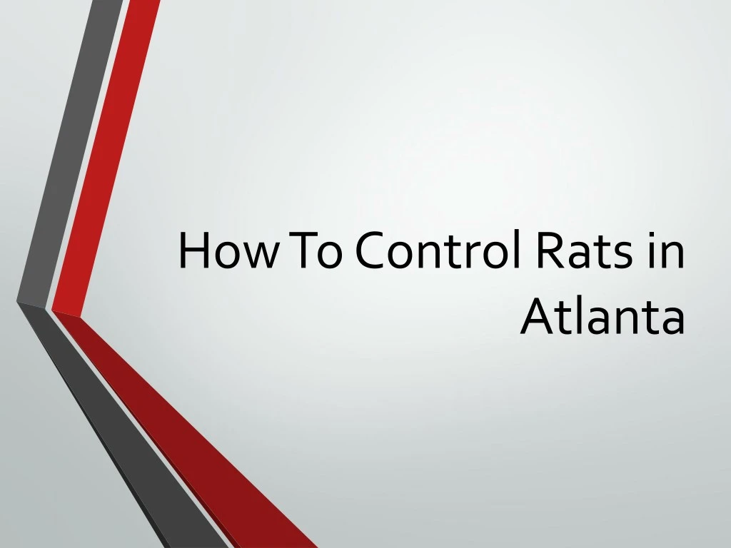 how to control rats in