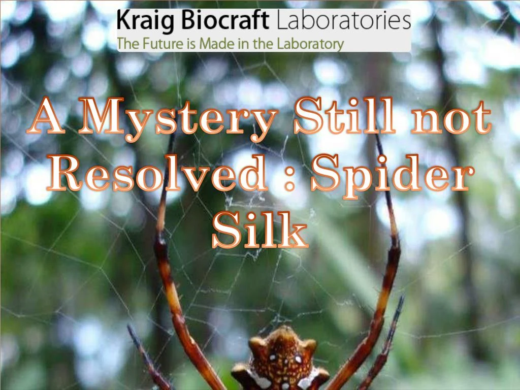 a mystery still not resolved spider silk