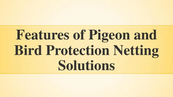 Features of Pigeon Protection Netting Solutions in India