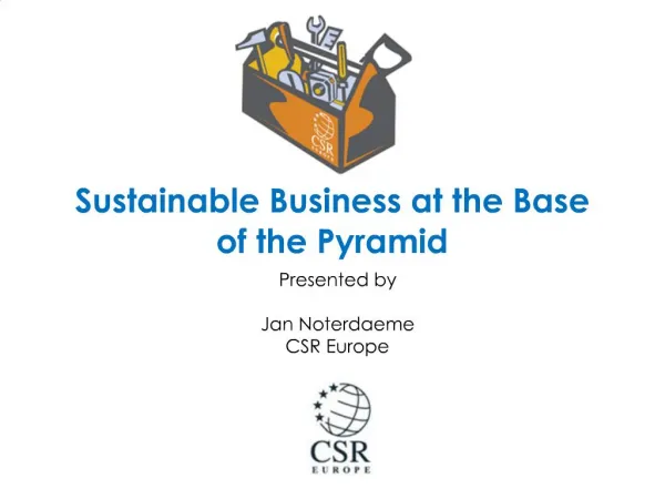 Sustainable Business at the Base of the Pyramid
