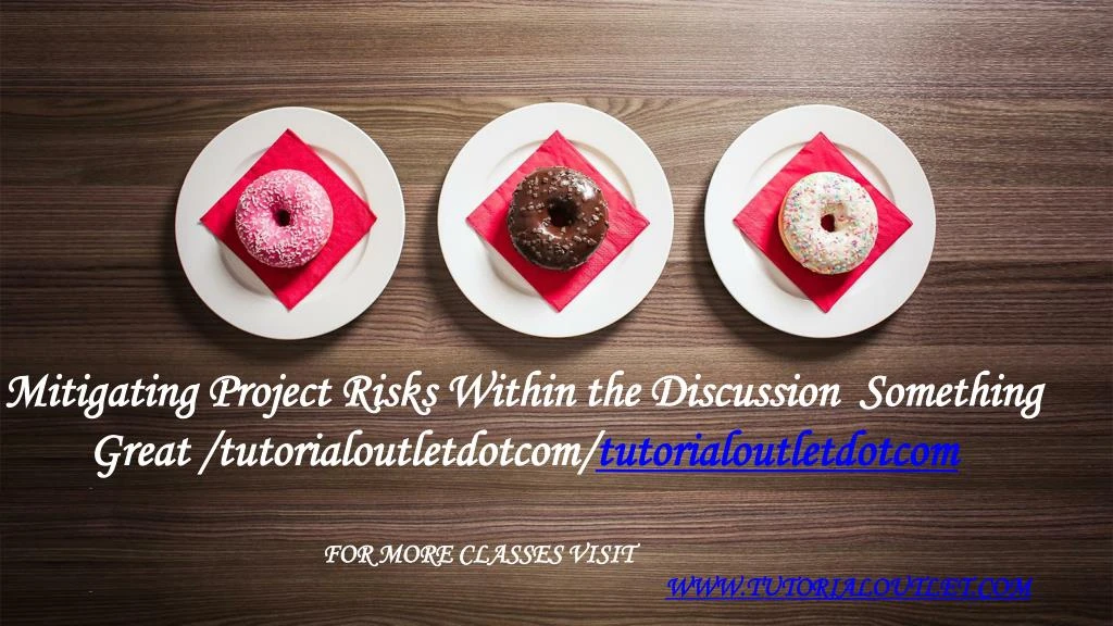 mitigating project risks within the discussion