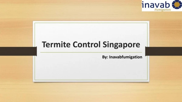 Searching for Termite Control Treatment in Singapore