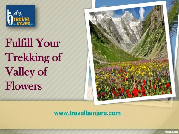 Fulfill Your Trekking Spirit of Valley of Flowers
