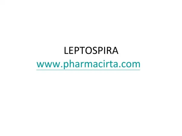 LEPTOSPIRA pharmacirta