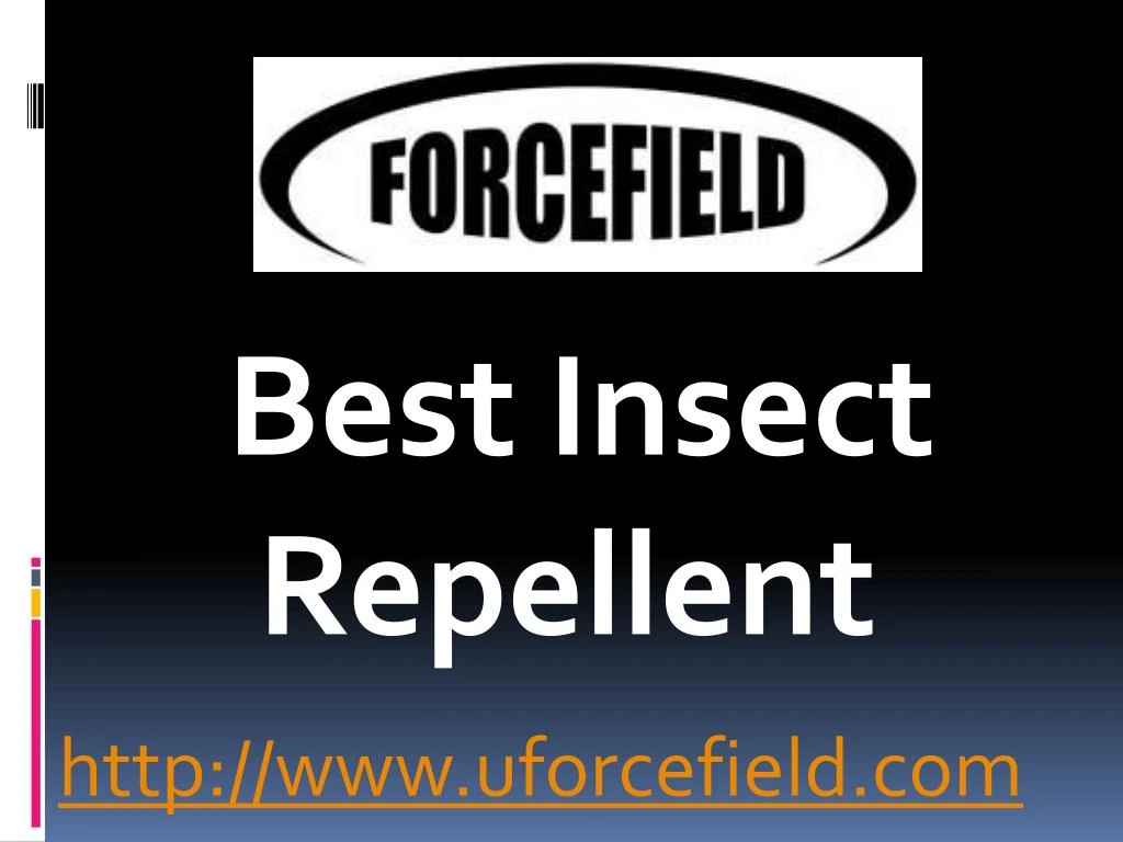best insect repellent