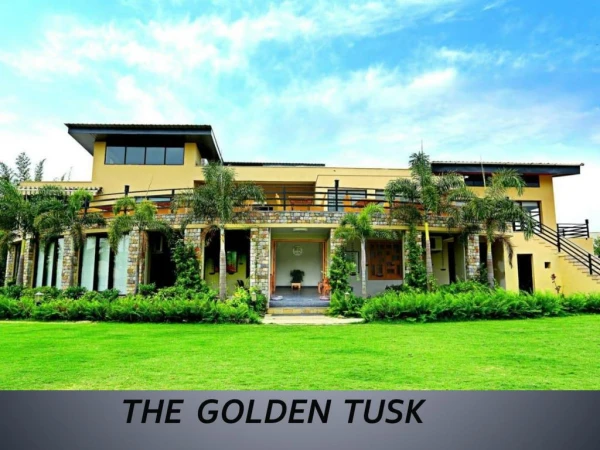 Golden Tusk Resort in Jim Corbett