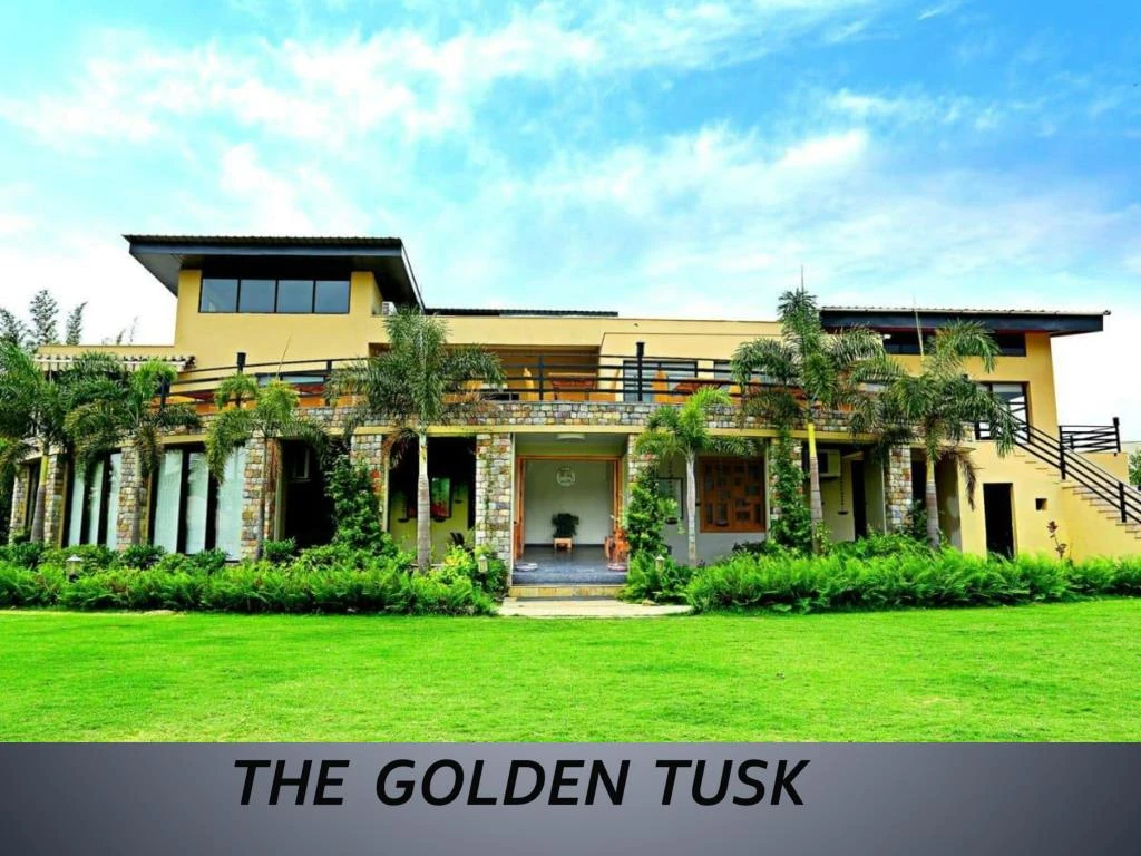 the golden tusk