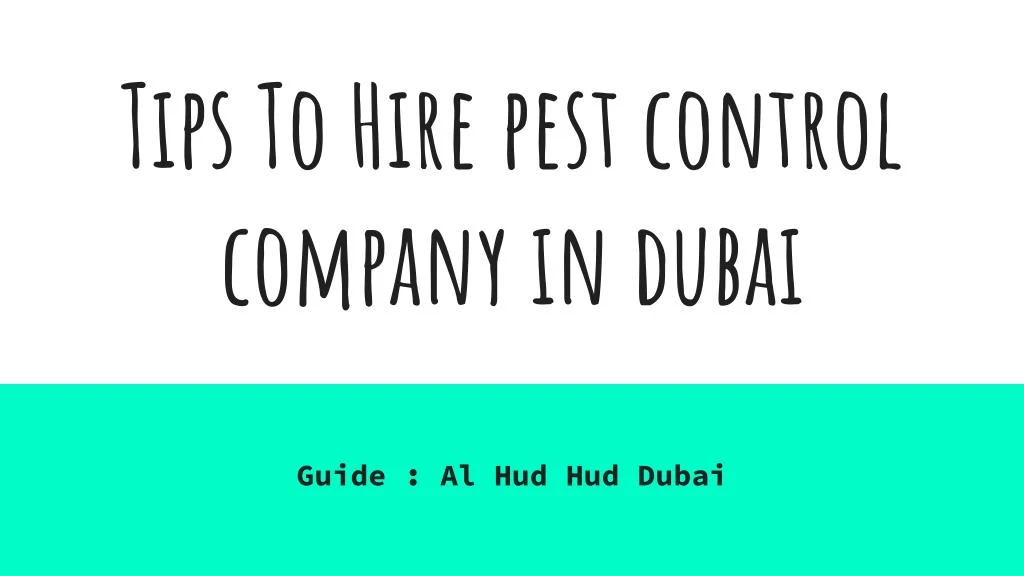 tips to hire pest control company in dubai