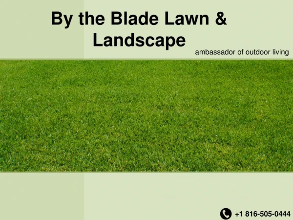 By The Blade Lawn - Outdoor Design Studio Kansas City