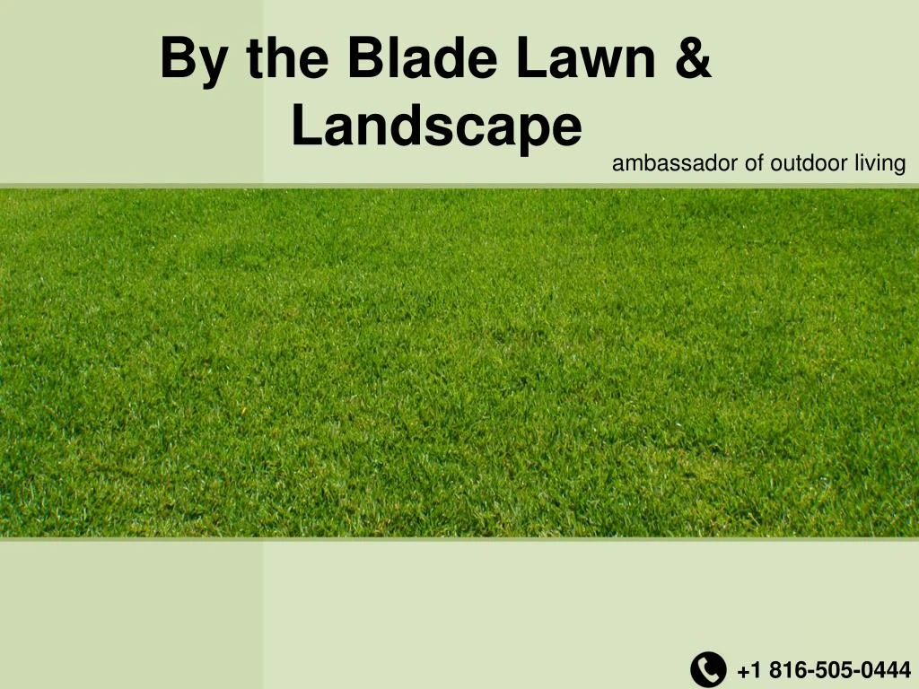 by the blade lawn landscape