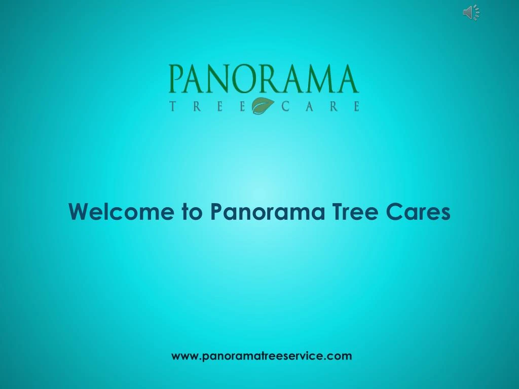 welcome to panorama tree cares