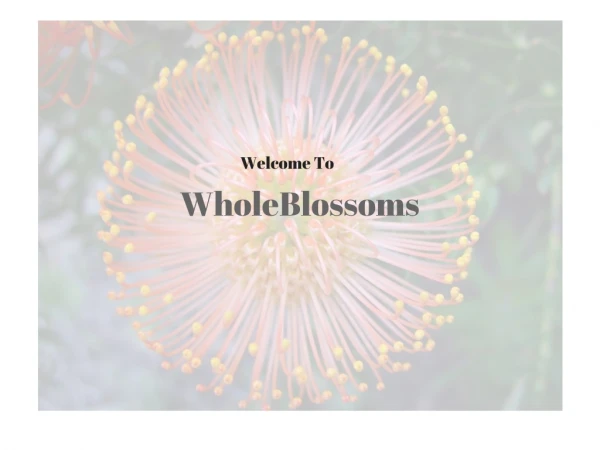WholeBlossoms- Let beautiful flowers adorn any occassion