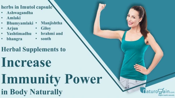 Herbal Supplements to Increase Immunity Power in Body Naturally