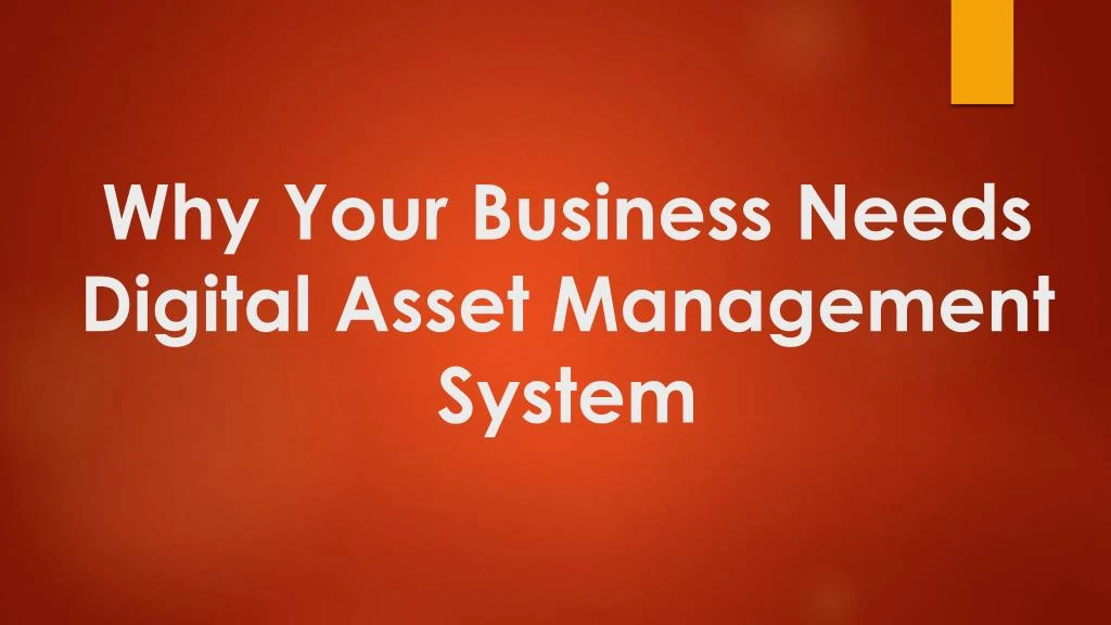 why your business needs digital asset management system