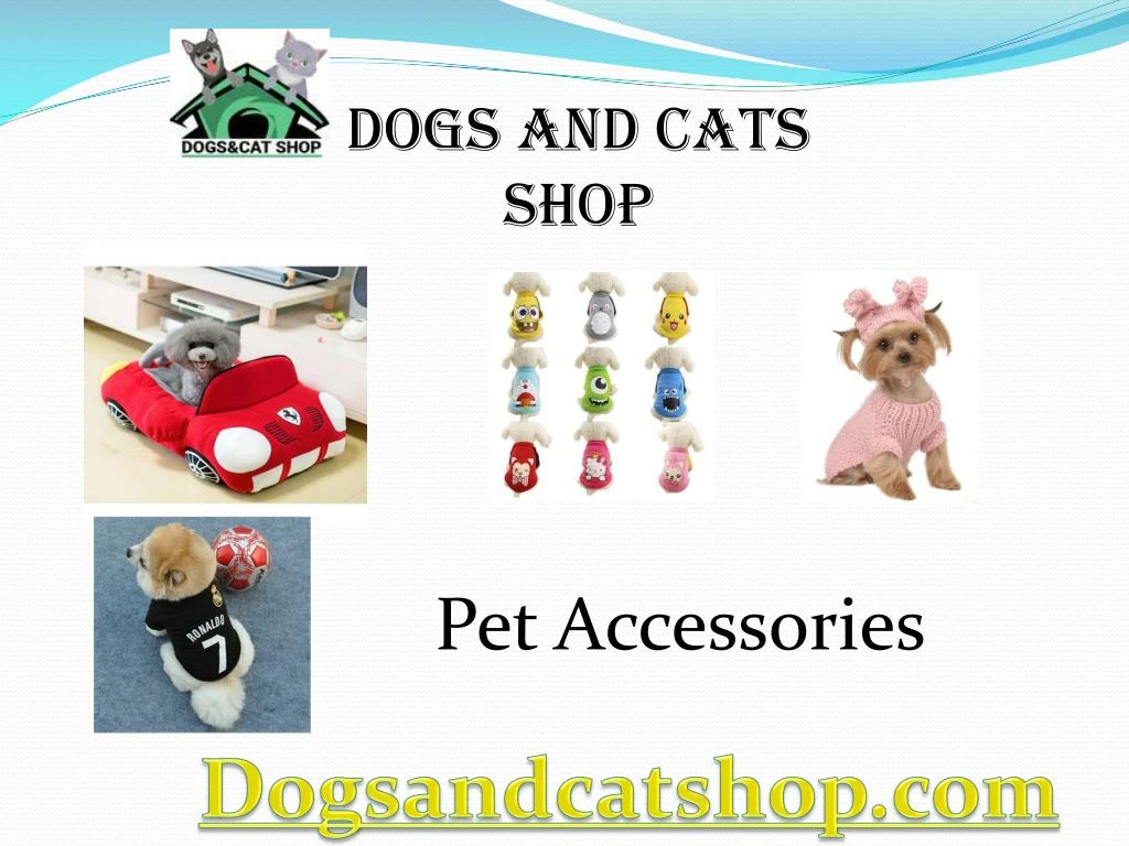 dogs and cats shop