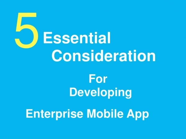 5 Important Factors For Developing Enterprise Mobile App