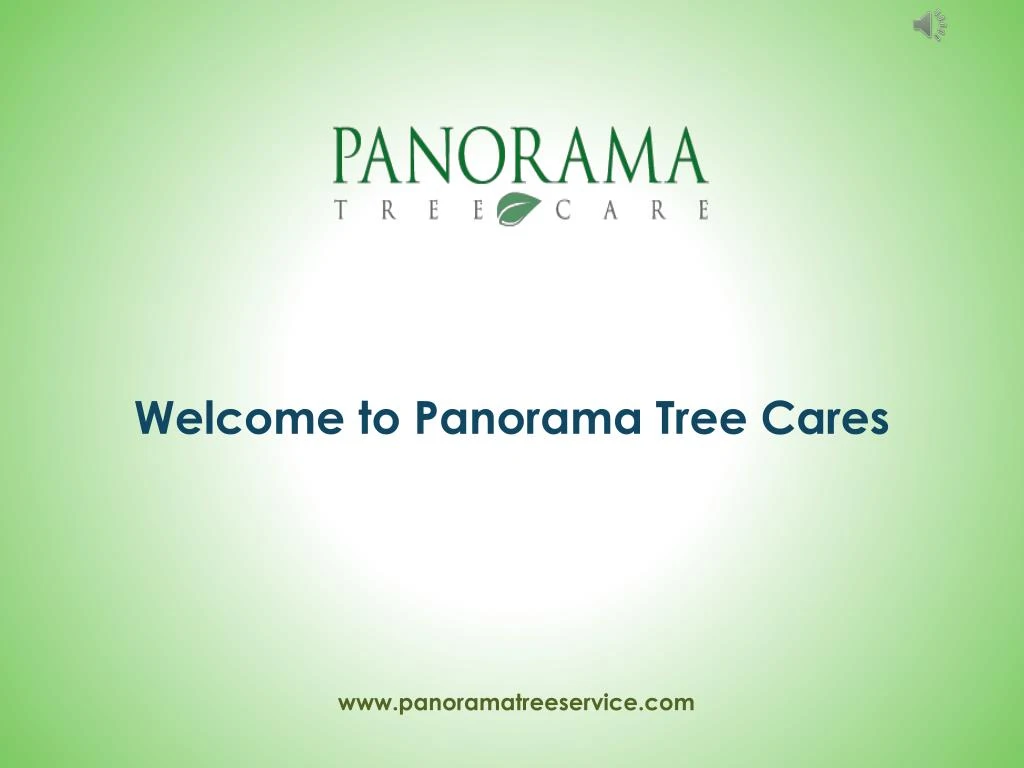 welcome to panorama tree cares